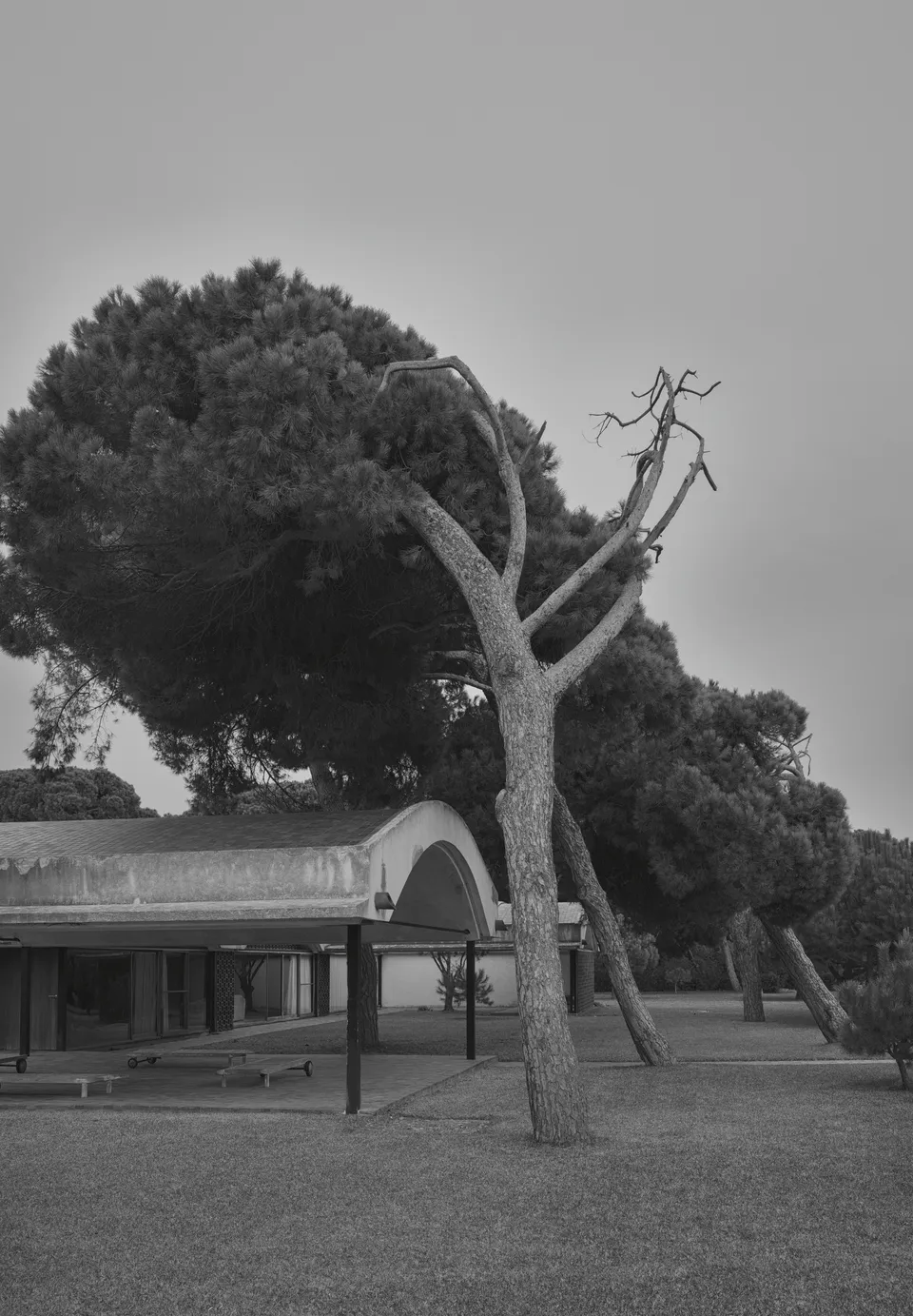 Cierre1972 Chapeau — תמונה 8