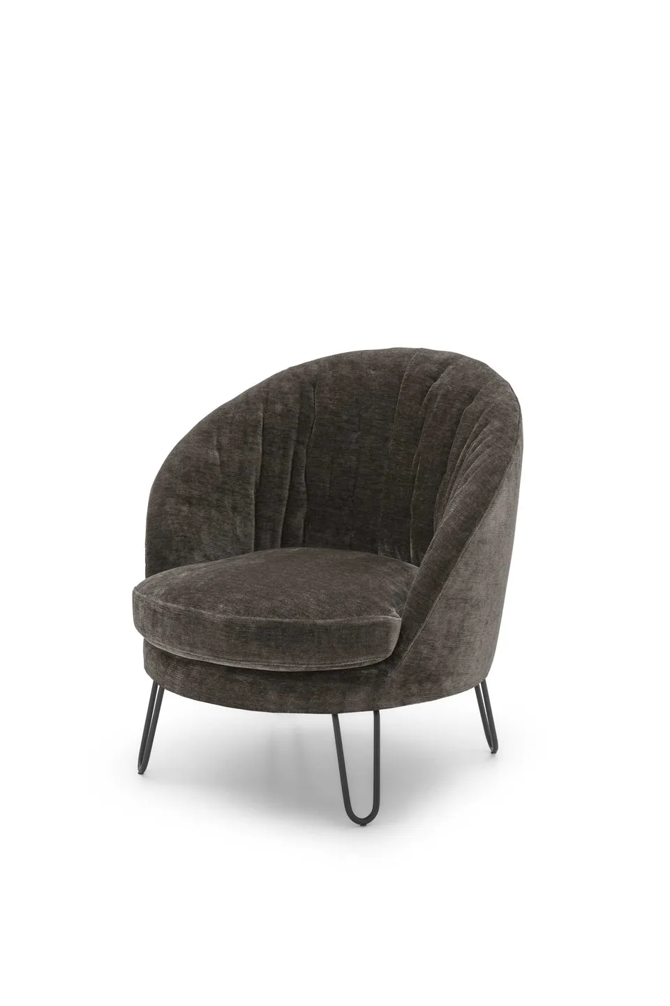 LeComfort Oyster — תמונה 5