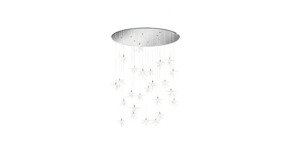 Reflex Angelo Stella — תמונה 4