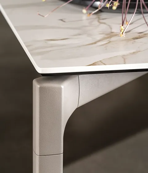 Sovet Italia Bone — תמונה 3